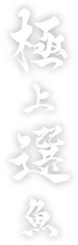 極上鮮魚